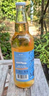 All the others Wild Coast Big Sky review