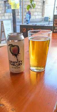 All the others Gravity Theory review