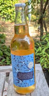 All the others Wild Coast Big Sky review