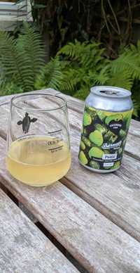 Ascension cider Pickle review