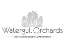 Shop Watergull cider