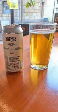 All the others Gravity Theory review